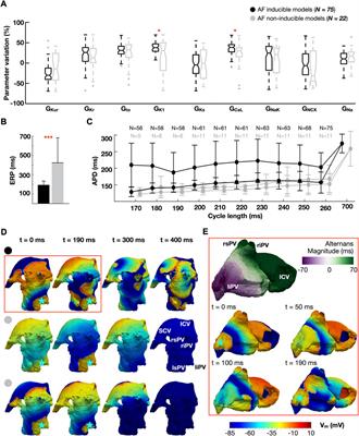 In-silico drug trials for precision medicine in atrial fibrillation: From ionic mechanisms to electrocardiogram-based predictions in structurally-healthy human atria